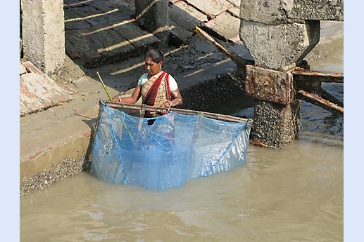 Viaggio in India 2008 - Sunderbans